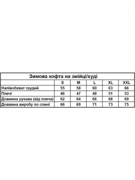 Черное мужское теплое худи с молнией на рукаве Т-1182