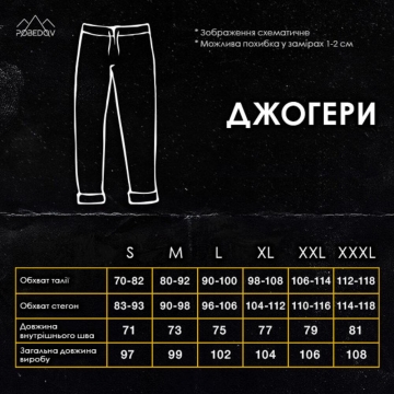 Чорні теплі чоловічі спортивні штани на осінь зиму Т-689