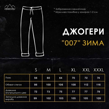 Темно-сірі теплі чоловічі спортивні штани на флісі Б-694
