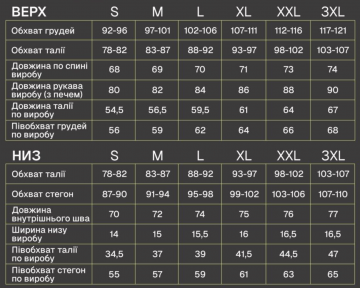 Спортивный мужской серый костюм из плащевки на молнии без капюшона К-989