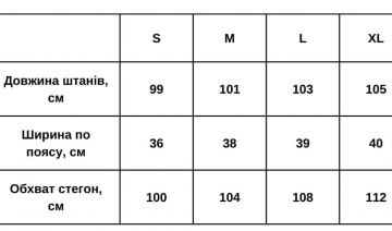 Чоловічі спортивні штани весна графіт Б-703