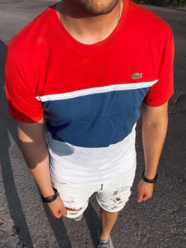 Разноцветная мужская футболка Лакост Ф-634