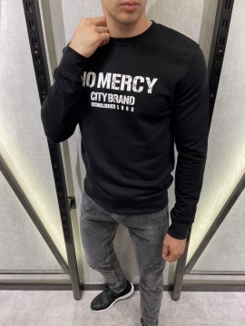 Стильный мужской свитшот Т-374