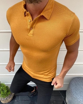 Стильная мужская футболка поло (4 цвета) Ф-799