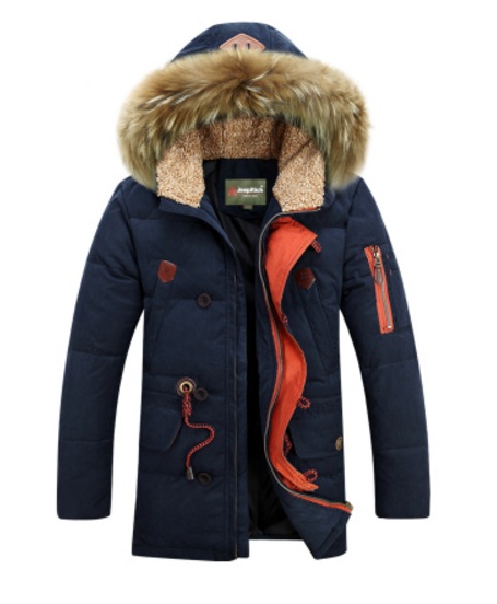 Мужской Синий Пуховик Z-1329